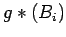 $g*(B_i)$